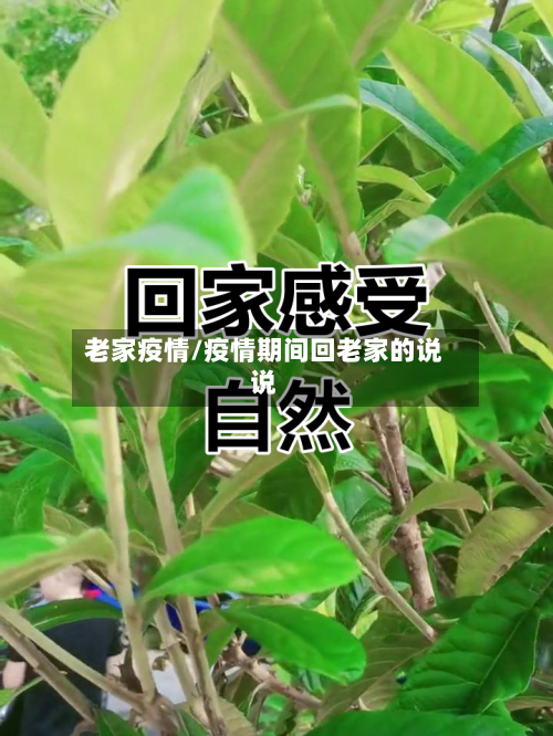 老家疫情/疫情期间回老家的说说-第1张图片