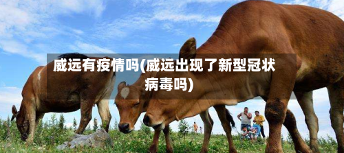 威远有疫情吗(威远出现了新型冠状病毒吗)-第1张图片