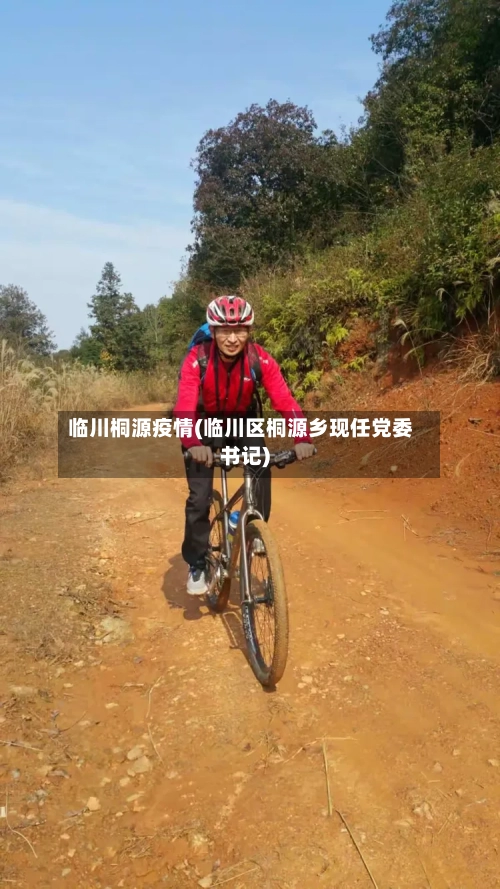 临川桐源疫情(临川区桐源乡现任党委书记)-第1张图片
