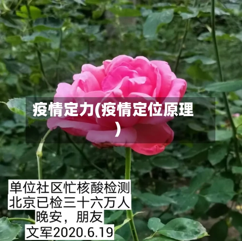疫情定力(疫情定位原理)-第1张图片