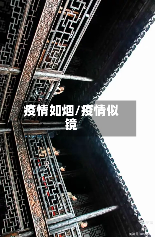 疫情如烟/疫情似镜-第2张图片