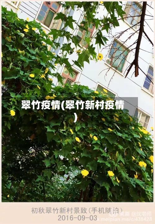 翠竹疫情(翠竹新村疫情)-第1张图片