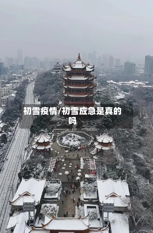 初雪疫情/初雪应急是真的吗-第1张图片