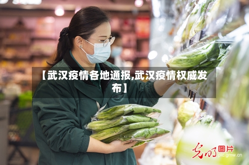 【武汉疫情各地通报,武汉疫情权威发布】-第3张图片