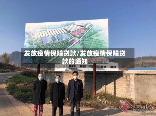 发放疫情保障贷款/发放疫情保障贷款的通知-第2张图片