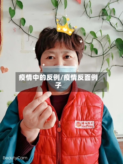 疫情中的反例/疫情反面例子-第1张图片