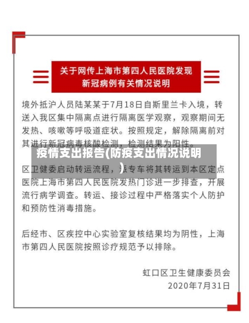 疫情支出报告(防疫支出情况说明)-第1张图片