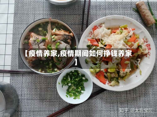 【疫情养家,疫情期间如何挣钱养家】-第1张图片