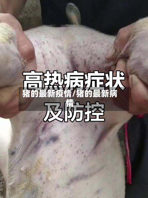 猪的最新疫情/猪的最新病情-第1张图片