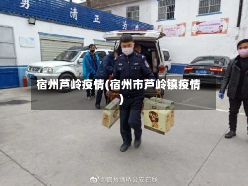 宿州芦岭疫情(宿州市芦岭镇疫情)-第2张图片