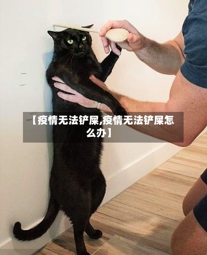 【疫情无法铲屎,疫情无法铲屎怎么办】-第3张图片