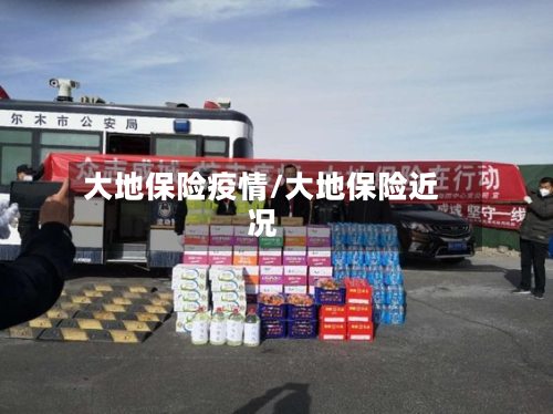 大地保险疫情/大地保险近况-第3张图片