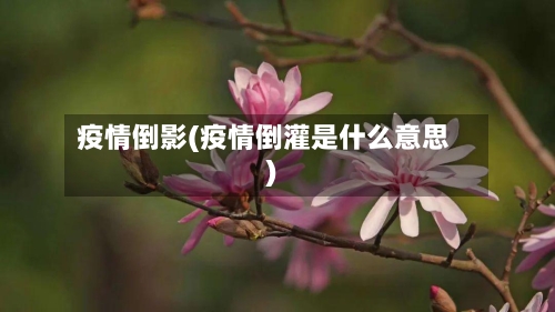 疫情倒影(疫情倒灌是什么意思)-第1张图片