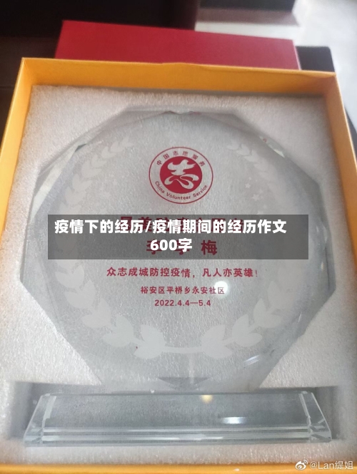 疫情下的经历/疫情期间的经历作文600字-第1张图片