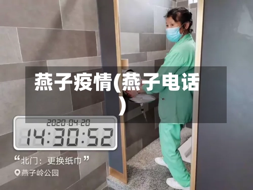 燕子疫情(燕子电话)-第1张图片