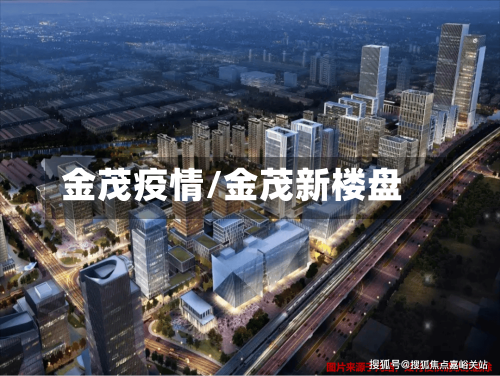 金茂疫情/金茂新楼盘-第2张图片