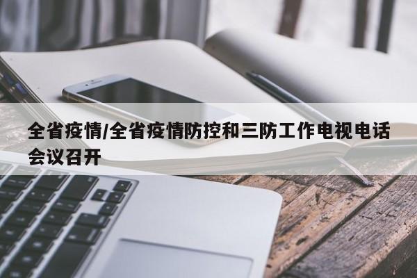 全省疫情/全省疫情防控和三防工作电视电话会议召开